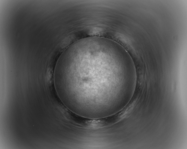 X0000088490273200705291654