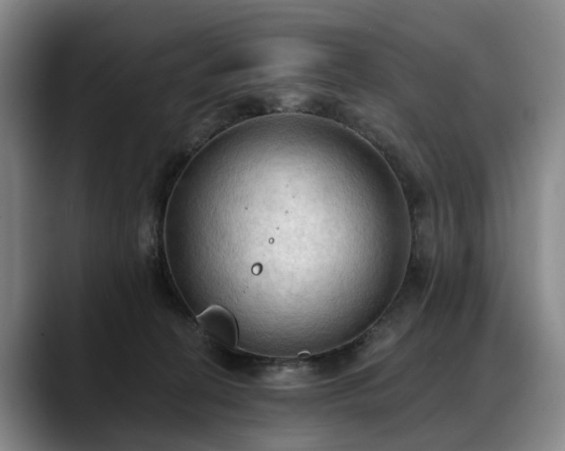 X0000088490274200705291654