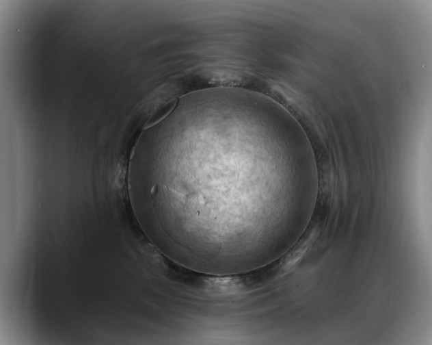X0000088490281200705291654