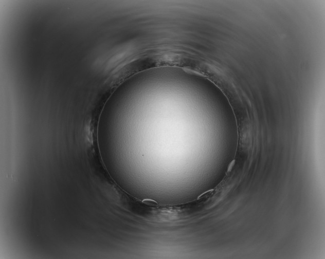 X0000088490282200705291654