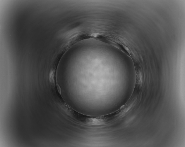 X0000088490286200705291654