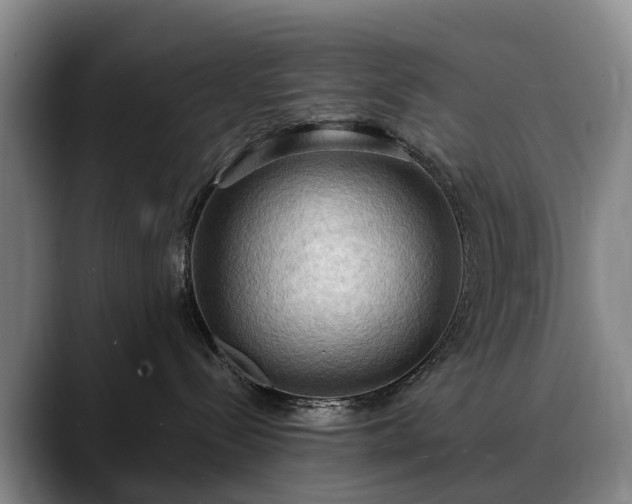X0000088490288200705291654
