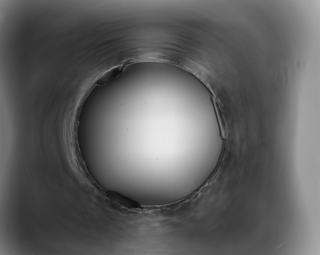 X0000088490289200705291653