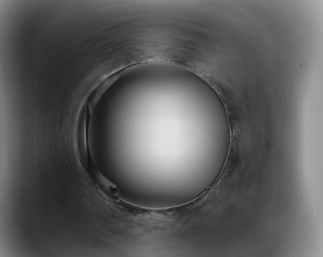 X0000088490290200705291653
