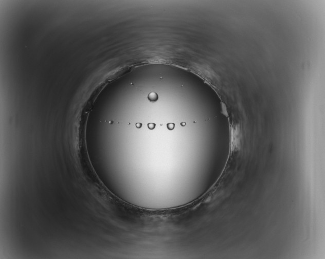 X0000088490291200705291653