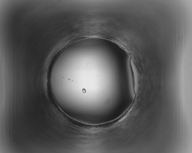 X0000088490293200705291653