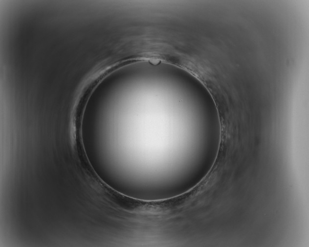 X0000088490294200705291653