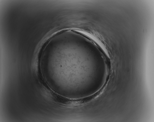 X0000088490295200705291653