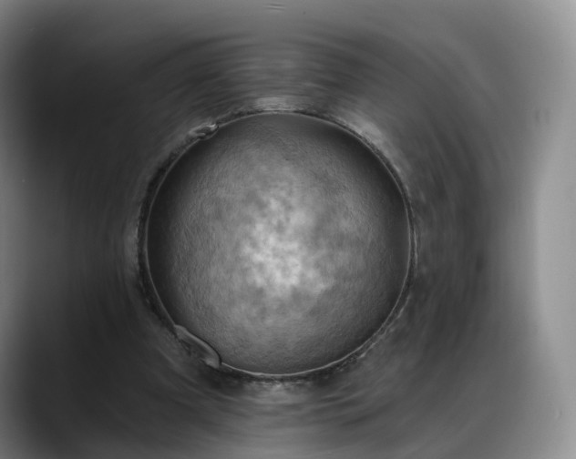 X0000088490297200705291653
