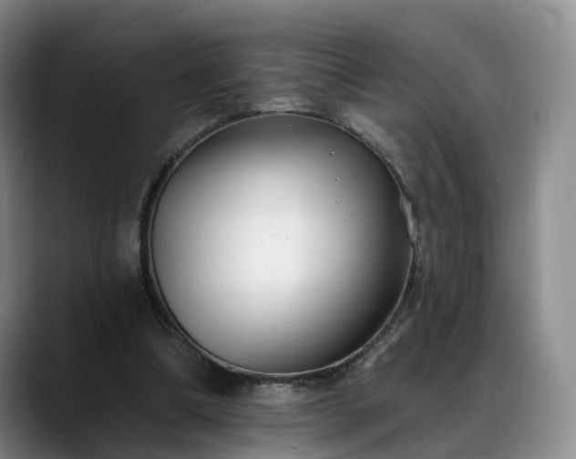 X0000088490298200705291653