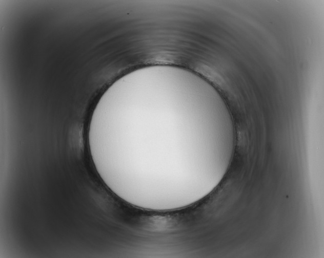 X0000088490302200705291653