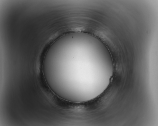 X0000088490304200705291653