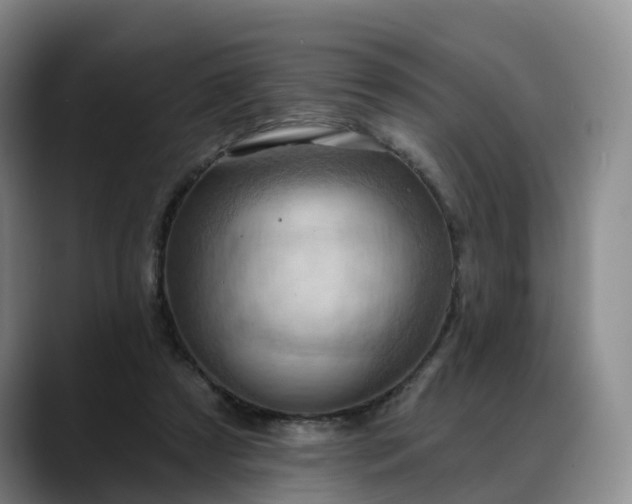 X0000088490305200705291653