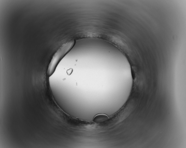 X0000088490306200705291653