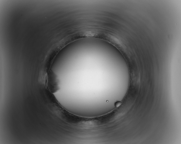 X0000088490307200705291653