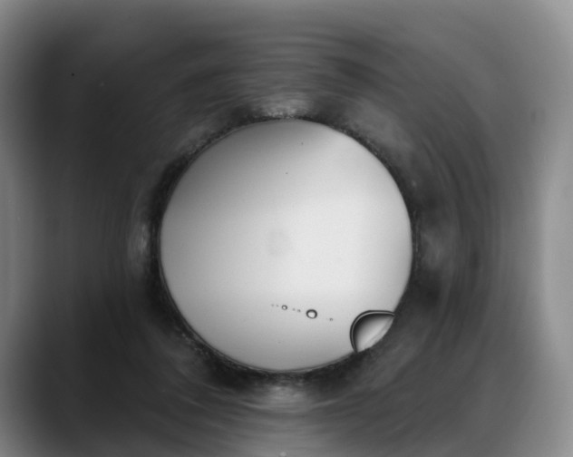 X0000088490308200705291653