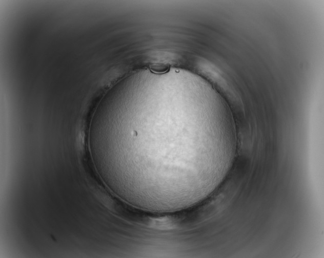 X0000088490309200705291653