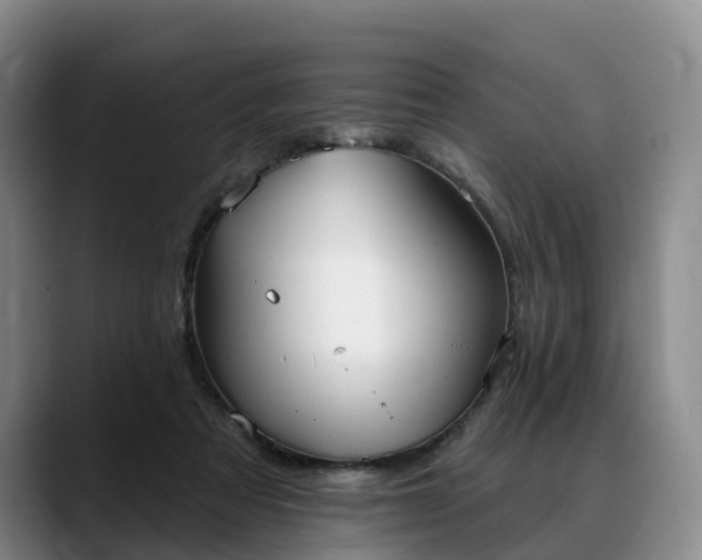 X0000088490313200705291653