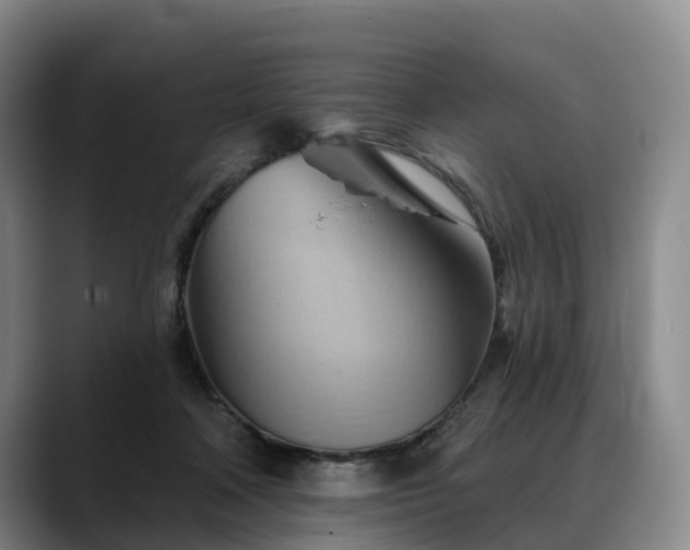 X0000088490314200705291653