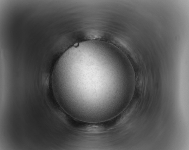 X0000088490315200705291653