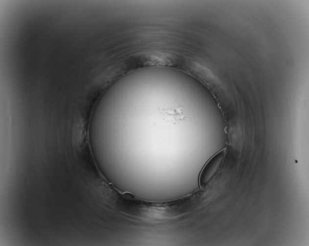 X0000088490318200705291653