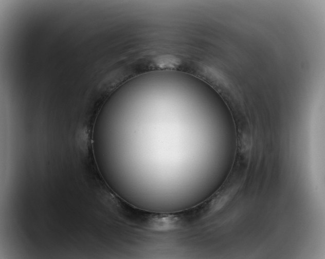 X0000088490321200705291653