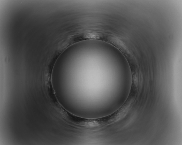 X0000088490322200705291653