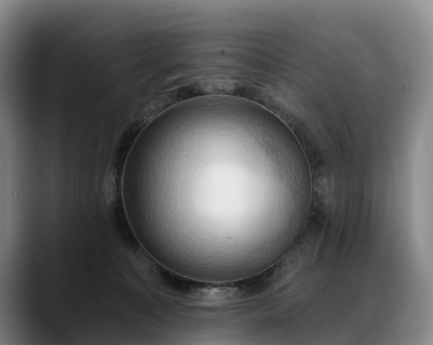 X0000088490323200705291653