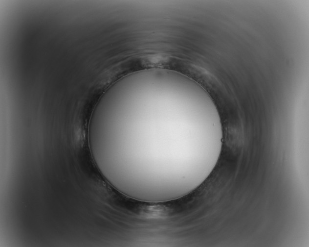 X0000088490324200705291653