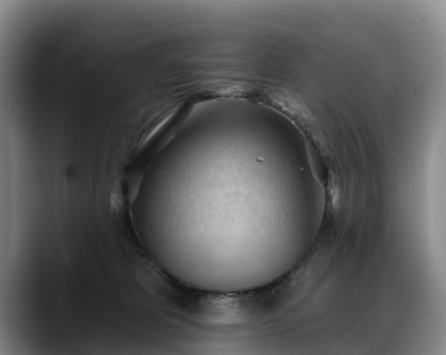 X0000088490325200705291653