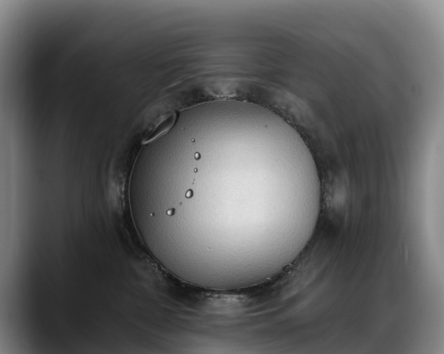 X0000088490332200705291653