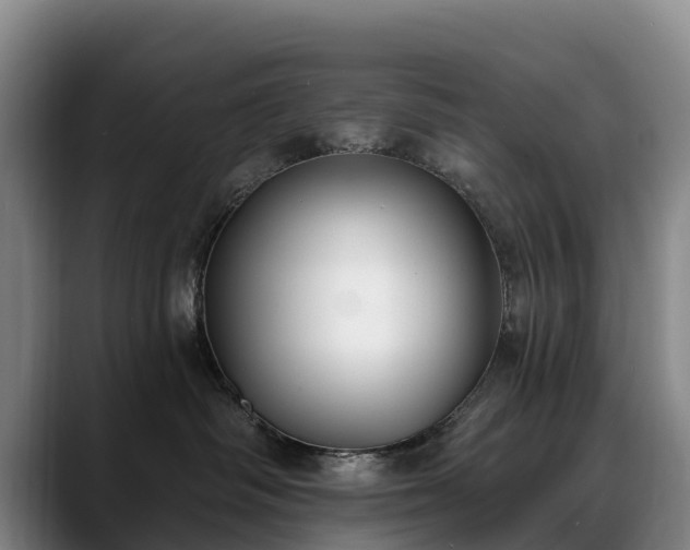 X0000088490334200705291653