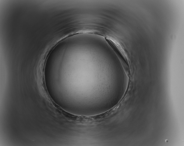 X0000088490337200705291652