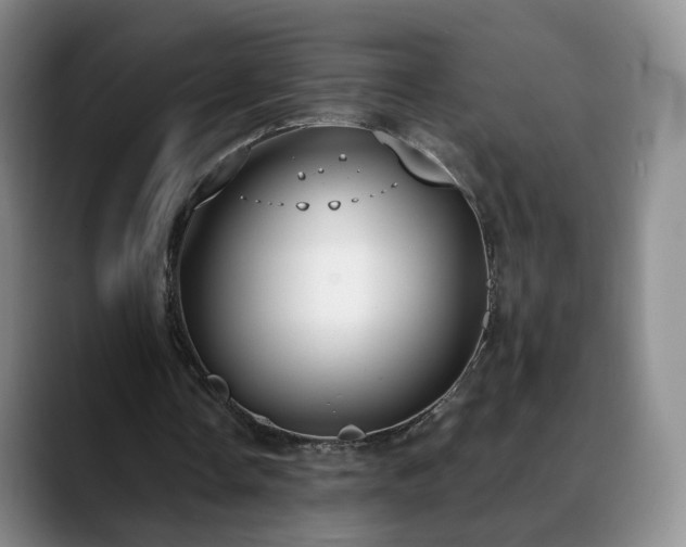 X0000088490338200705291652