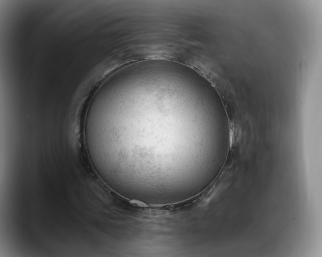 X0000088490339200705291652