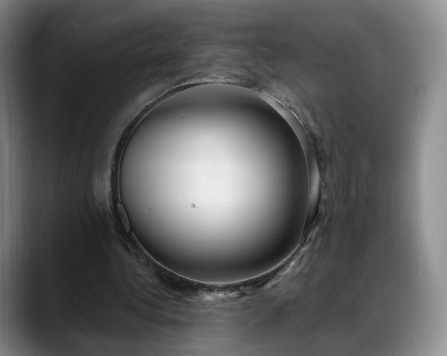 X0000088490340200705291652