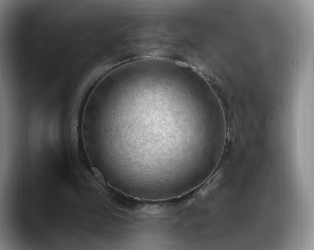 X0000088490341200705291652