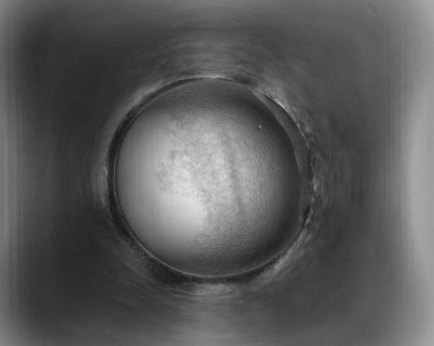 X0000088490342200705291652