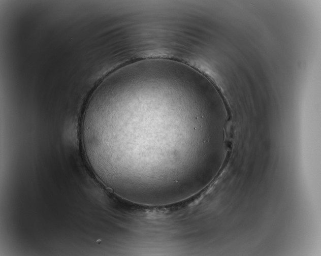 X0000088490345200705291652