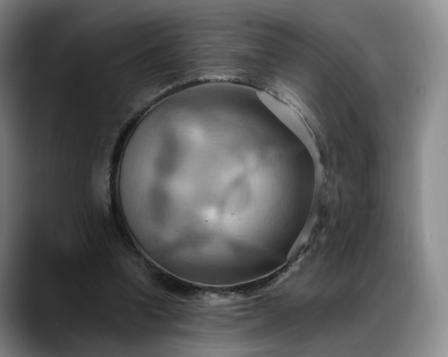 X0000088490346200705291652