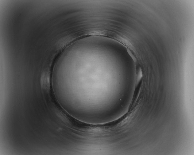 X0000088490349200705291652