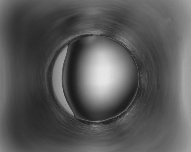 X0000088490350200705291652