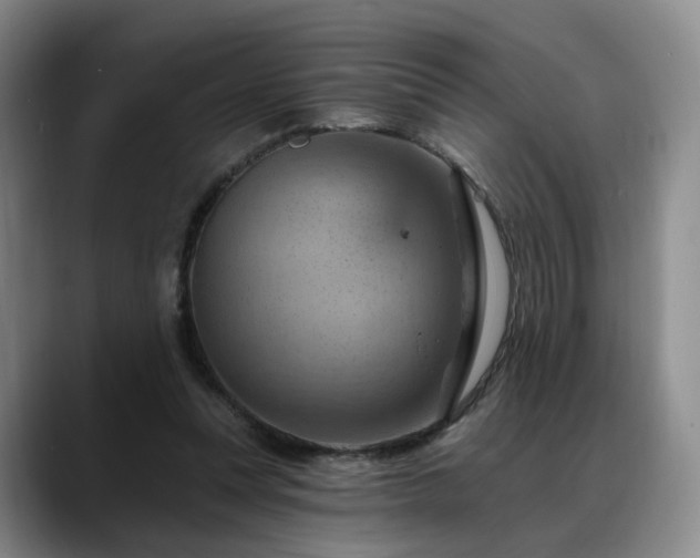 X0000088490351200705291652