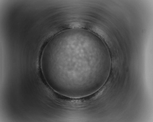 X0000088490353200705291652