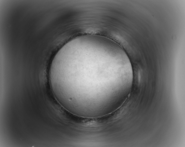 X0000088490354200705291652