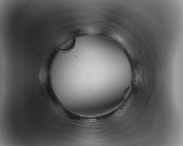 X0000088490355200705291652