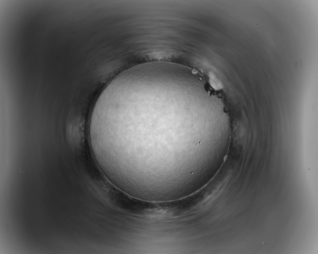 X0000088490356200705291652