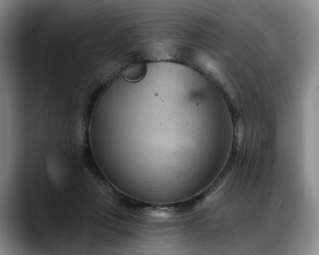 X0000088490359200705291652