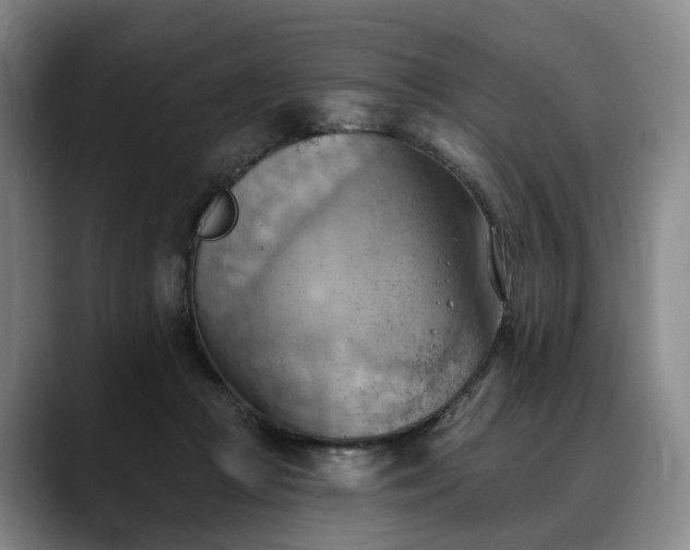 X0000088490361200705291652
