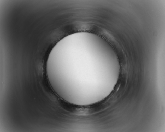 X0000088490362200705291652